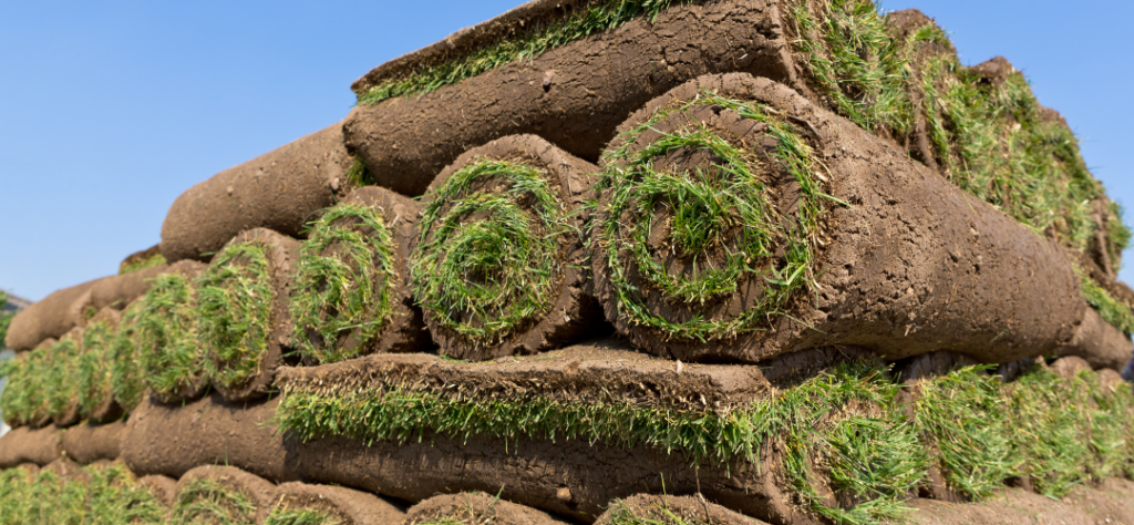 Sod Installation